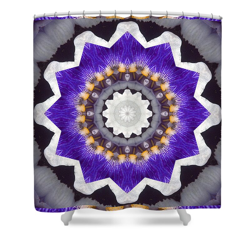 Mandalas Shower Curtain featuring the photograph Bliss by Bell And Todd