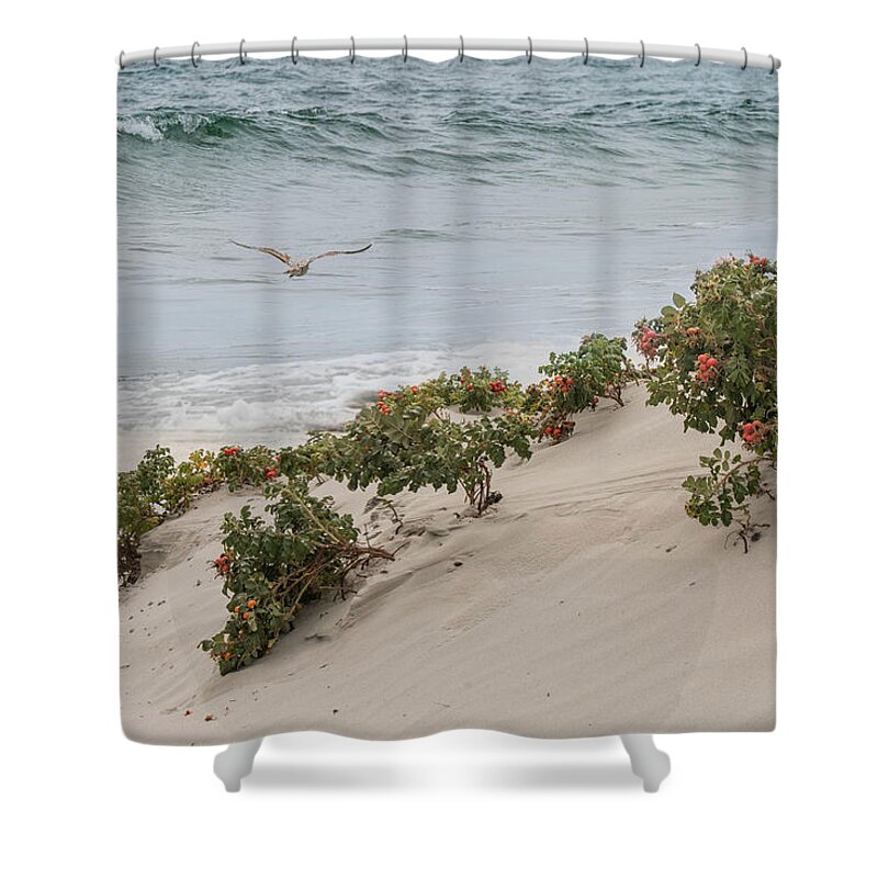 Beach Plumb Shower Curtain featuring the photograph Bliss on a Breeze by Robin-Lee Vieira