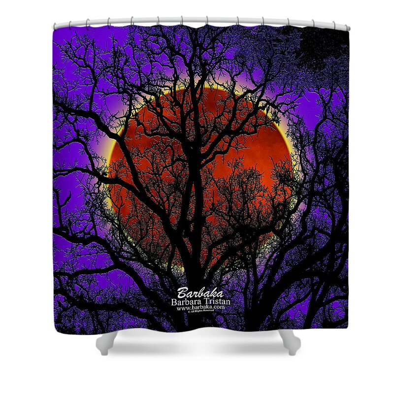 Moon Shower Curtain featuring the photograph Blood Moon Trees by Barbara Tristan