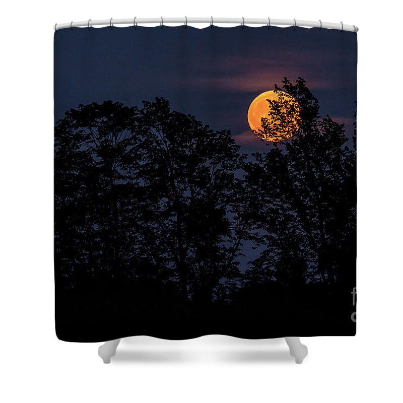 Cheryl Baxter Photography Shower Curtain featuring the photograph Blood Moonrise by Cheryl Baxter