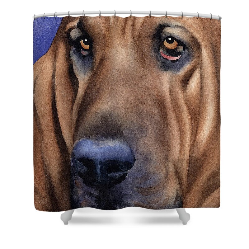 Bloodhound Shower Curtain featuring the painting Bloodhound by David Rogers