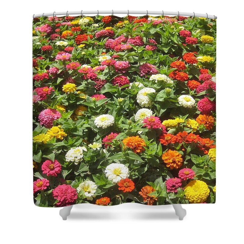 Flower Shower Curtain featuring the photograph Bloom Bonanza by Melissa McCrann