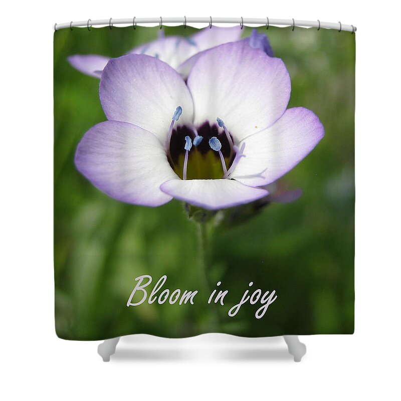 Flower Shower Curtain featuring the photograph Bloom in joy by Heidi Sieber