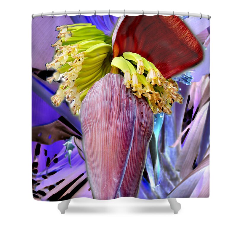 Brazil Shower Curtain featuring the photograph Bloom by Metaphor Photo
