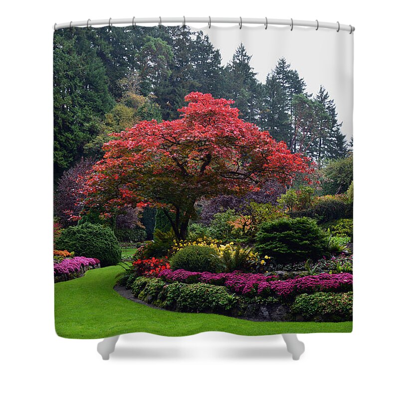 Maple Tree Shower Curtain featuring the photograph Bloomin' Lovely by Richard Andrews