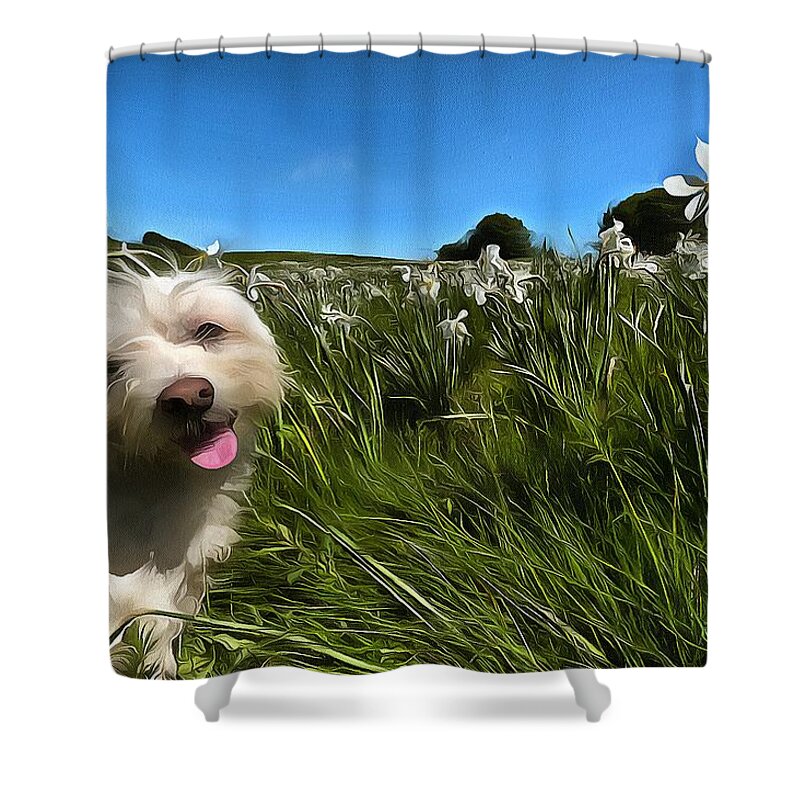 Narcisi Shower Curtain featuring the photograph BLOOMING DAFFODILS IN THE ANTOLA PARK WITH MALTESE II paint by Enrico Pelos