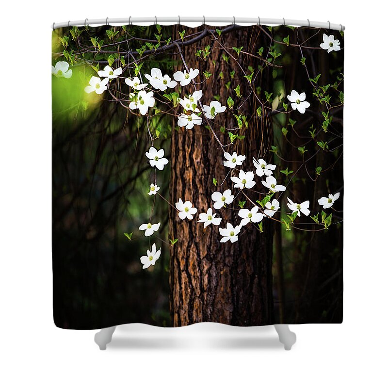 Yosemite Shower Curtain featuring the photograph Blooming Dogwoods in Yosemite by Larry Marshall