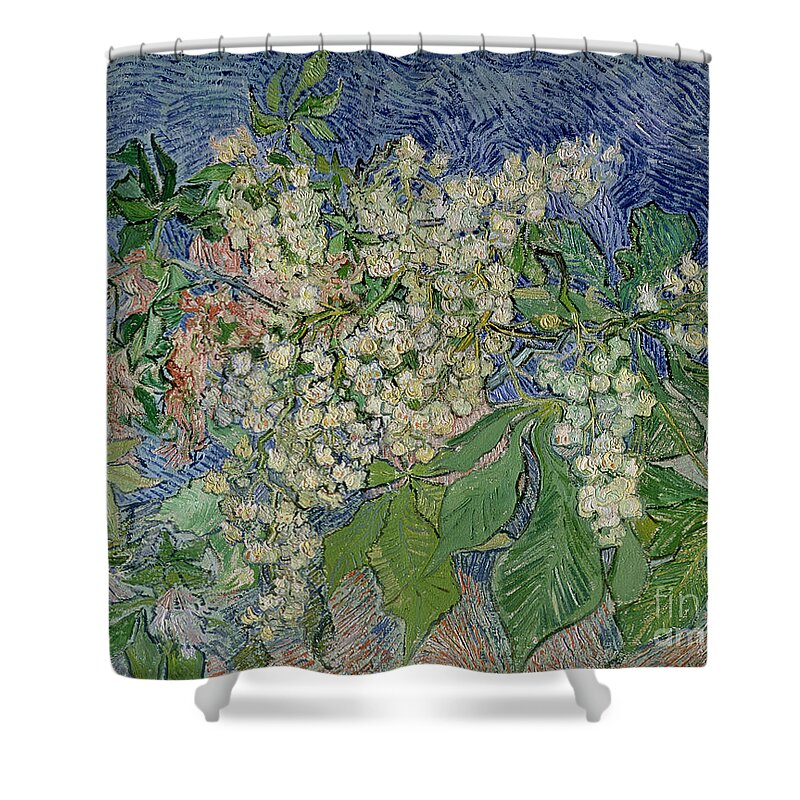 Blossoming Shower Curtain featuring the painting Blossoming Chestnut Branches by Vincent Van Gogh