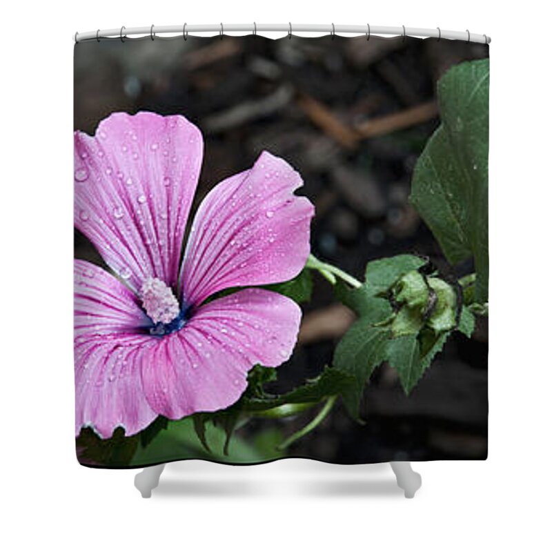 Floral Shower Curtain featuring the photograph Blossoming Florets Collection by Deborah Klubertanz