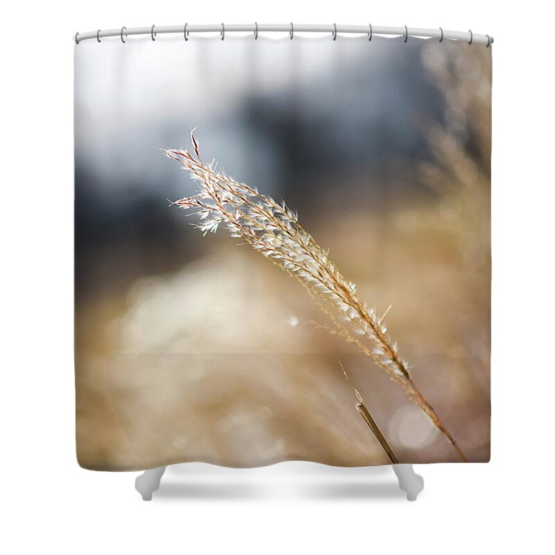 Bokeh Shower Curtain featuring the photograph Blowing in the Wind by Doug Ash