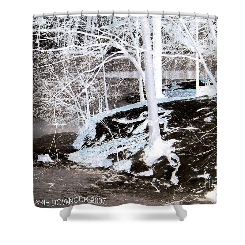 Landscape Shower Curtain featuring the photograph Blue and Brown Trees by Dawn Downour
