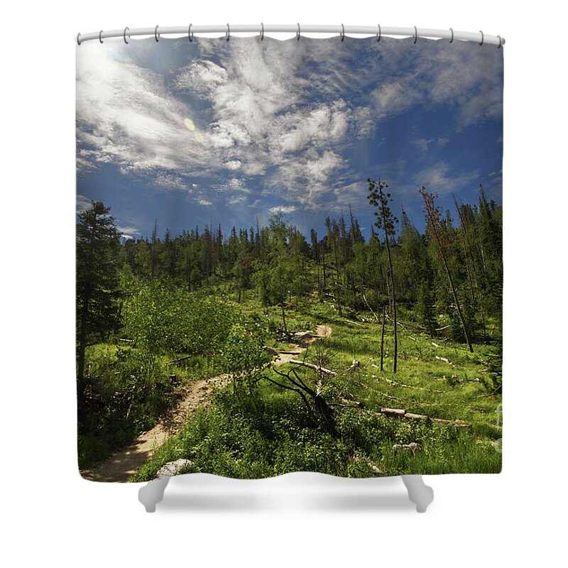 Landscape Shower Curtain featuring the photograph Blue And Green by Steve Triplett