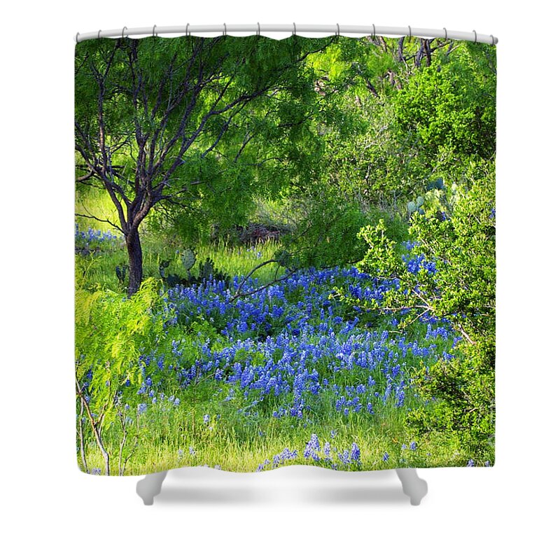 Nature Shower Curtain featuring the photograph Blue Bonnets in the Country by Linda Phelps