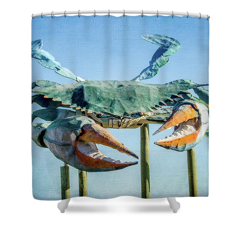 Tourist Attraction Shower Curtain featuring the photograph Blue Crab by Debra Martz