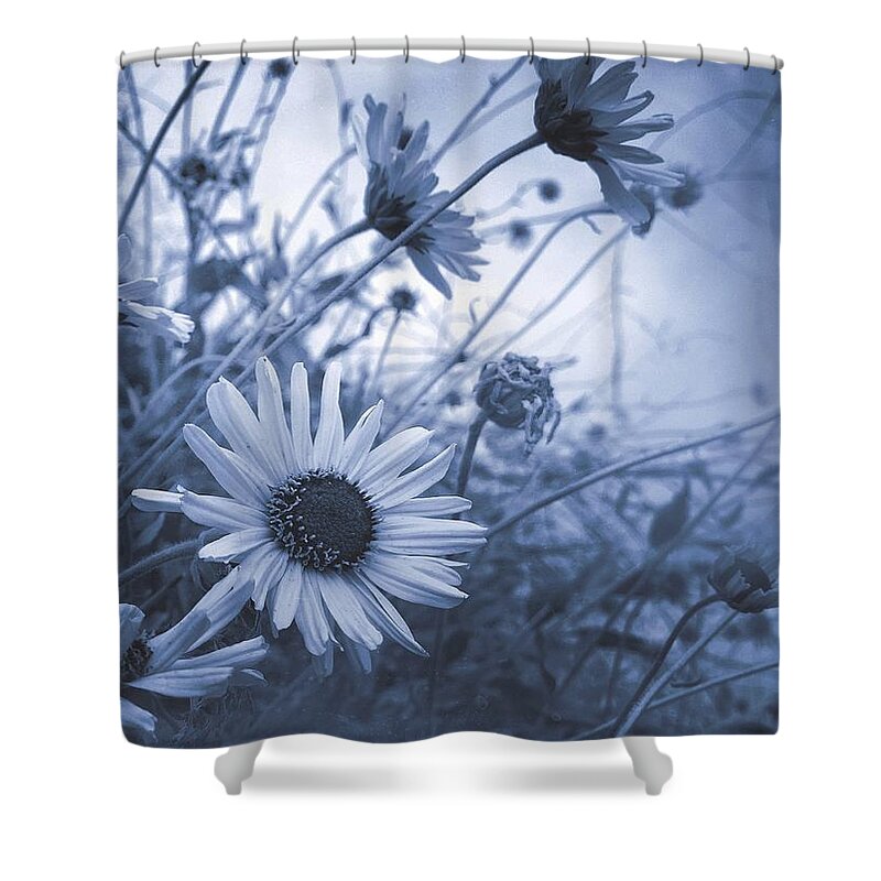 Daisy Shower Curtain featuring the digital art Blue Daisy Dusk by Kevyn Bashore