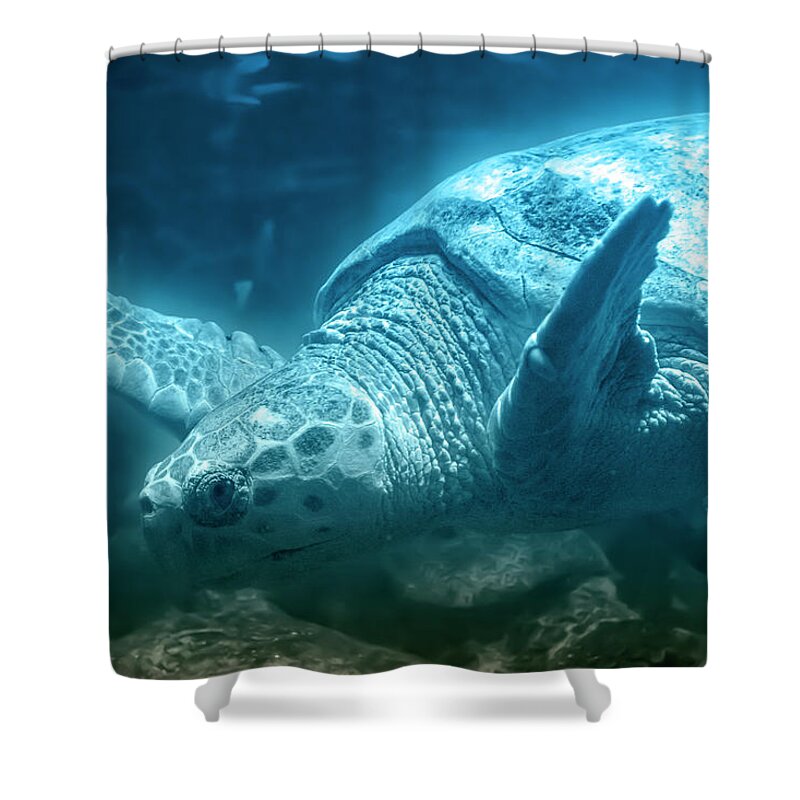 Sea Shower Curtain featuring the photograph Blue Depths Sea Turtle by Betsy Knapp