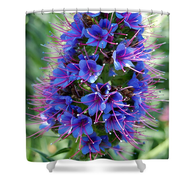 Flower Shower Curtain featuring the photograph Blue Flowers by Amy Fose