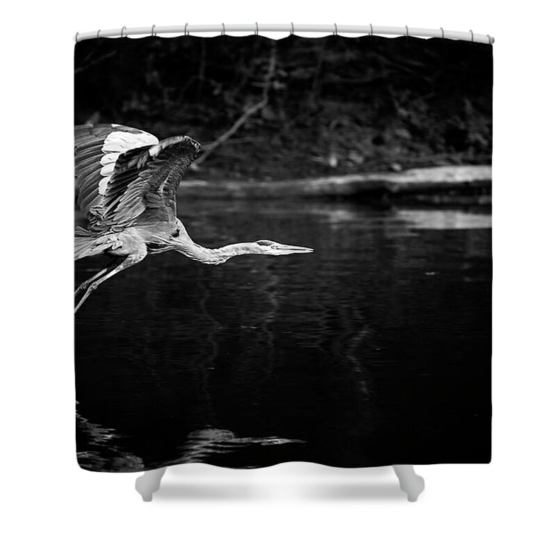 Blue Heron Shower Curtain featuring the photograph Blue Heron in Black and White by Deborah Penland