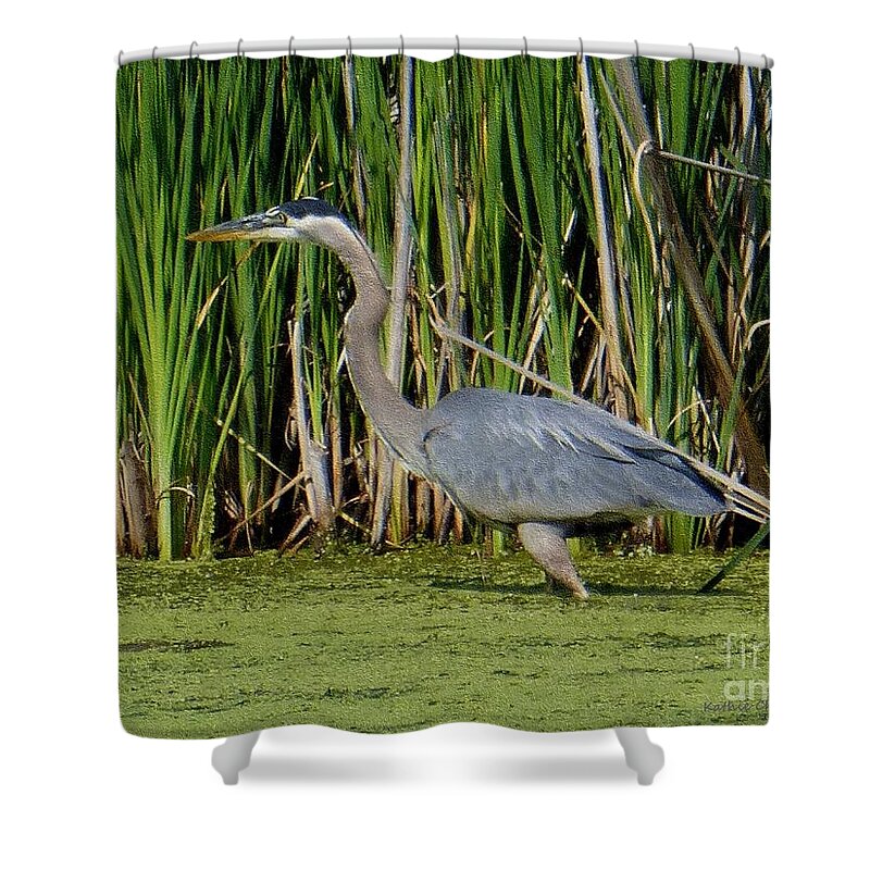 Photography Shower Curtain featuring the photograph Blue Heron in Pond by Kathie Chicoine