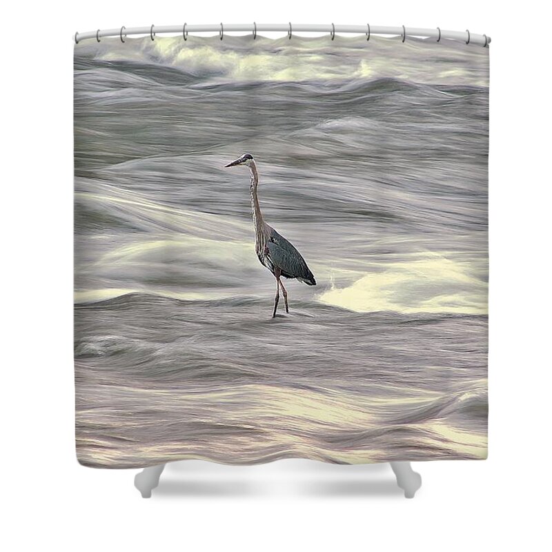 Blue Heron Shower Curtain featuring the photograph Blue Heron On The Grand River by Karl Anderson