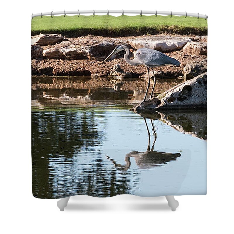 18th Hole Shower Curtain featuring the photograph Blue Heron reflection by John Johnson