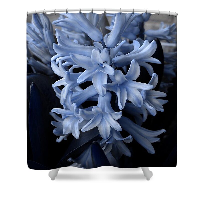 Blue Shower Curtain featuring the photograph BLue Hyacinth by Shelley Jones
