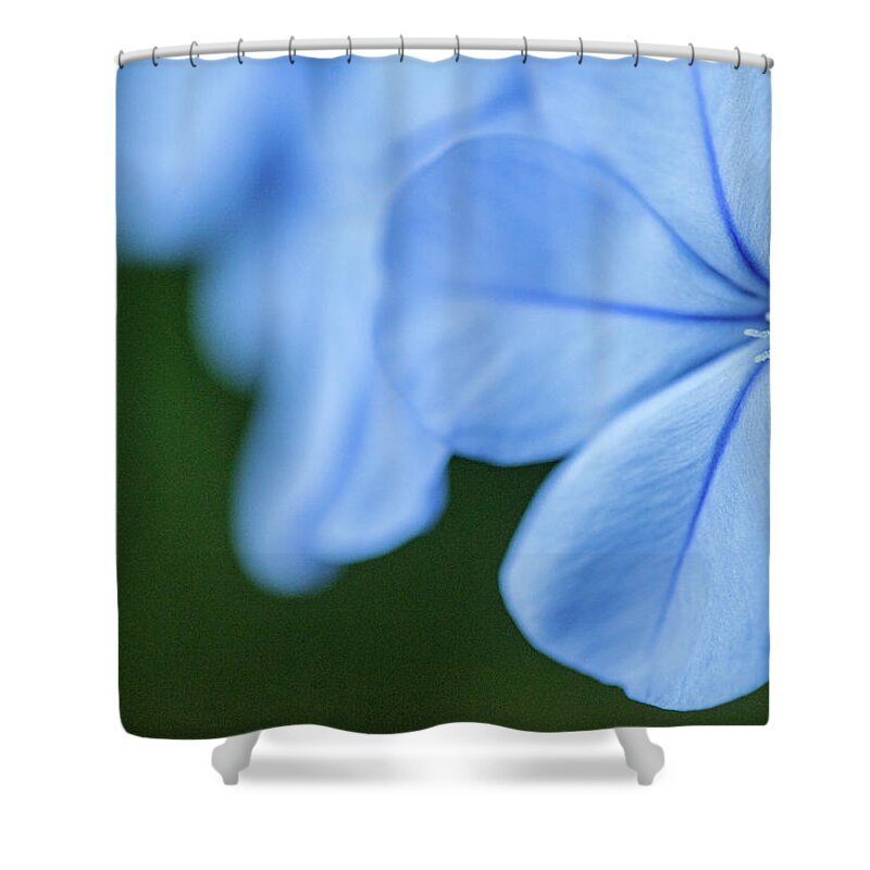 Flower Shower Curtain featuring the photograph Blue in Green 2 by Al Hurley