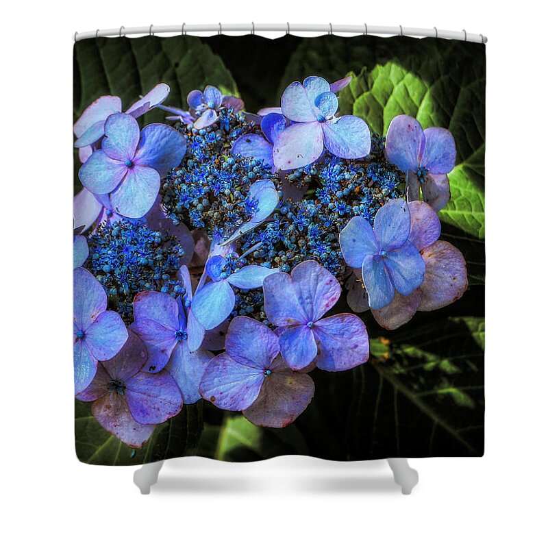 Flowers Shower Curtain featuring the photograph Blue In Nature by Elaine Malott