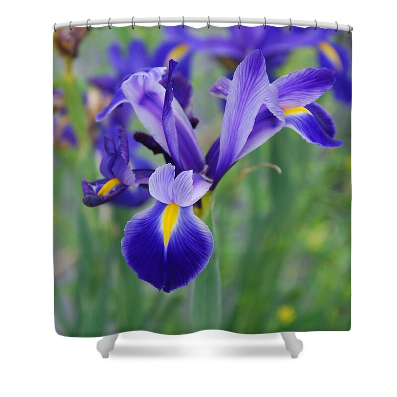 Iris Flower Shower Curtain featuring the photograph Blue Iris Flower by Susanne Van Hulst