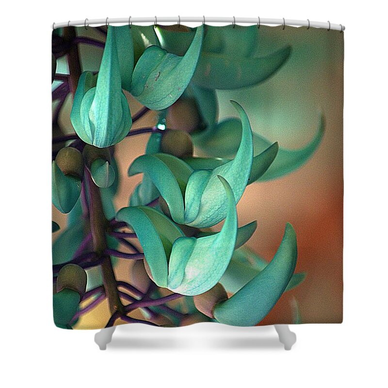 Plant Shower Curtain featuring the photograph Blue Jade at Sadie Seymour Park by Lori Seaman