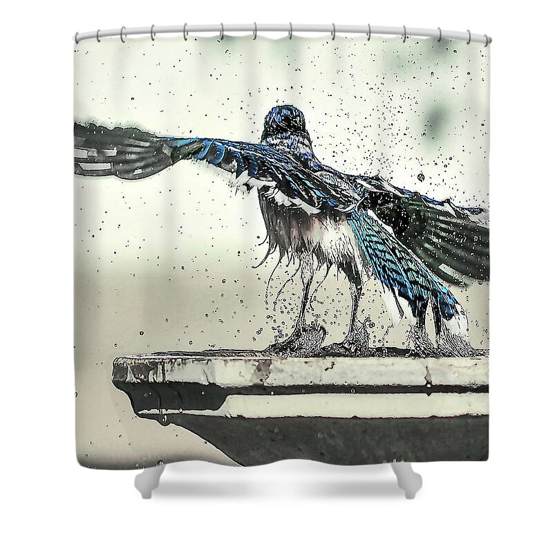 Nature Shower Curtain featuring the photograph Blue Jay Bath Time by Scott Cordell