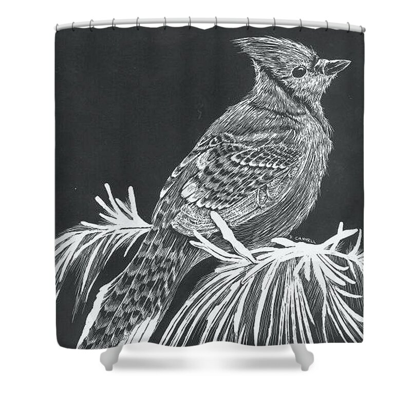 Bird Shower Curtain featuring the mixed media Blue jay scratch board by Darren Cannell