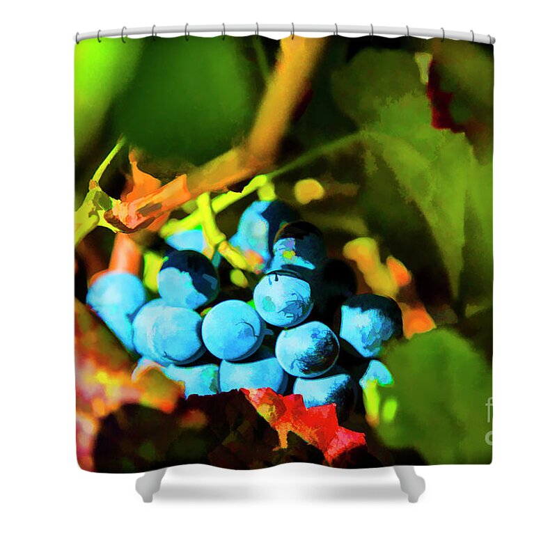 Grapes Portugal Druro Valley Shower Curtain featuring the photograph Blue Love by Rick Bragan