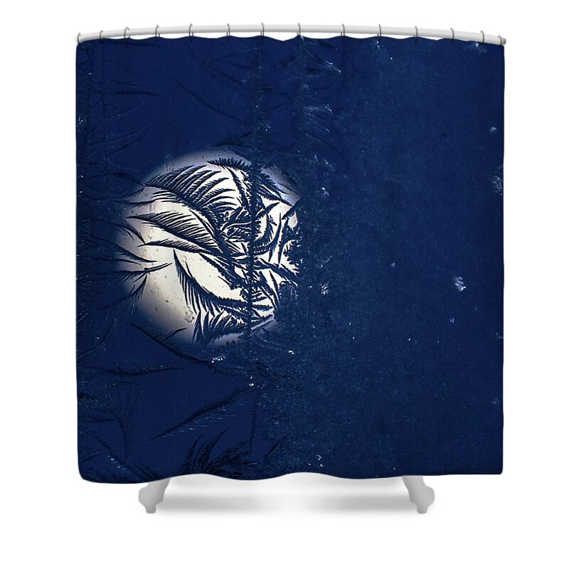 Window Frost Shower Curtain featuring the photograph Blue Moon Frosty Trees by Cheryl Baxter