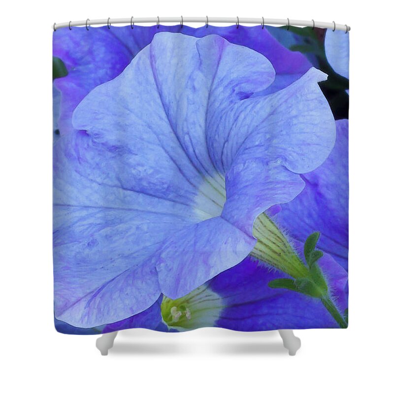 Blue Shower Curtain featuring the photograph Blue Petunia Blossom by Sandra Foster