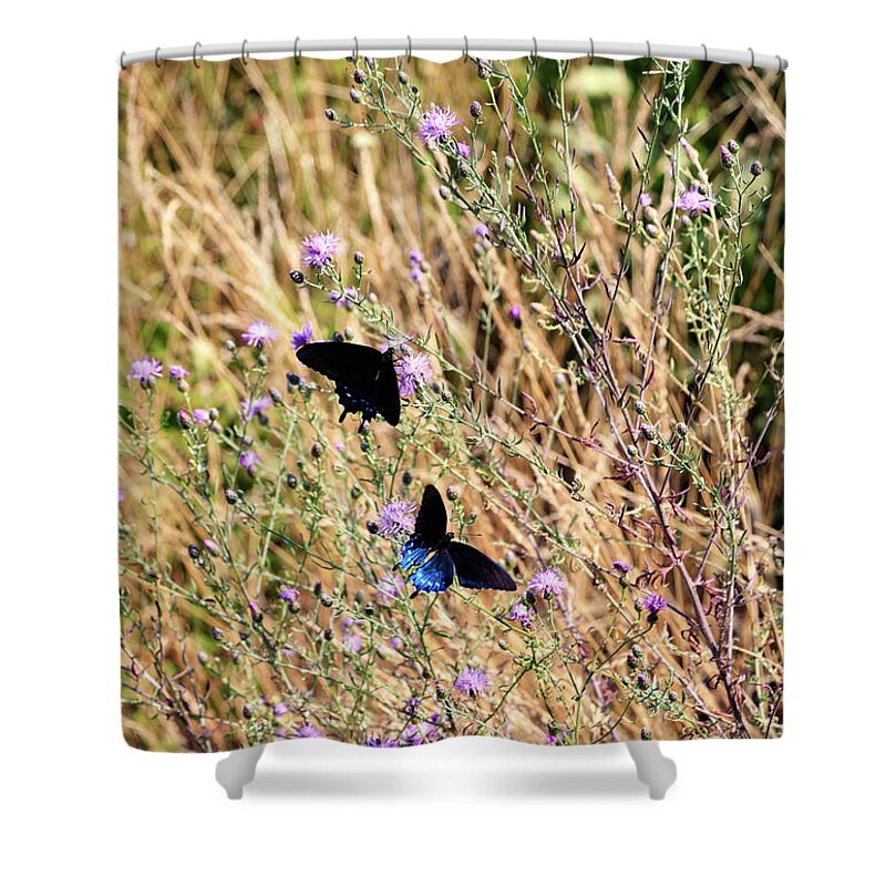 Butterfly Shower Curtain featuring the photograph Blue Ridge Butterflies 3 by Matt Sexton