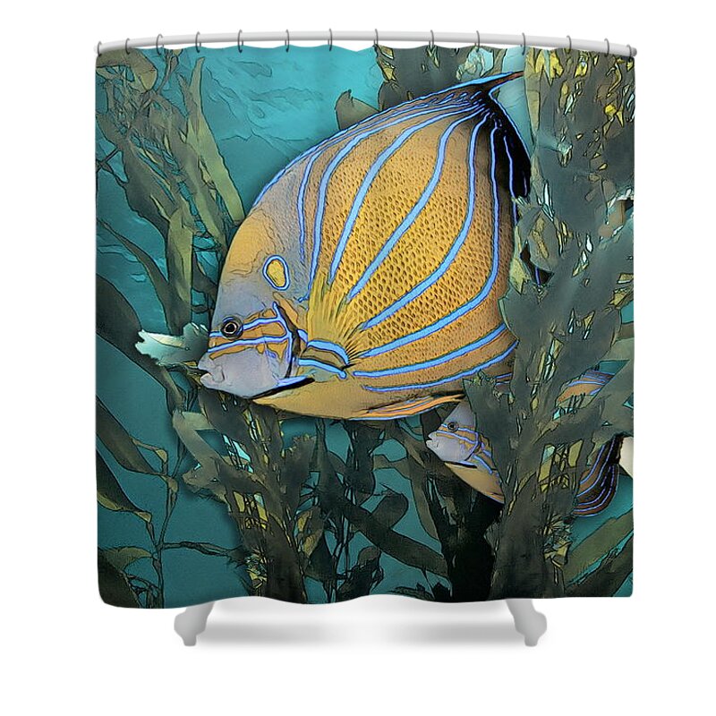 Blue Ring Angelfish Shower Curtain featuring the photograph Blue Ring Angelfish in Kelp by Russ Harris