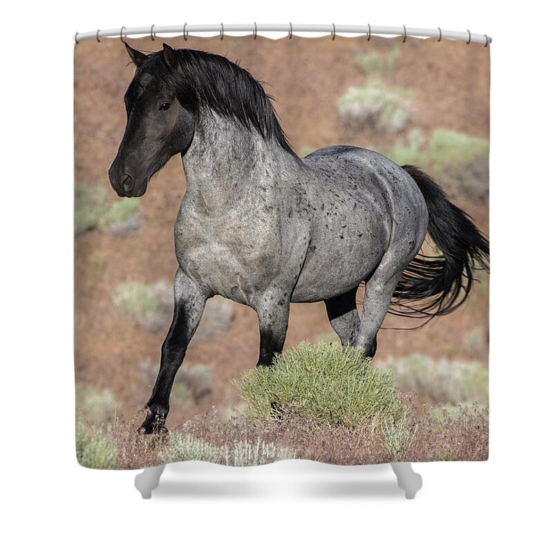 Wild Horse Shower Curtain featuring the photograph Blue surprise by John T Humphrey