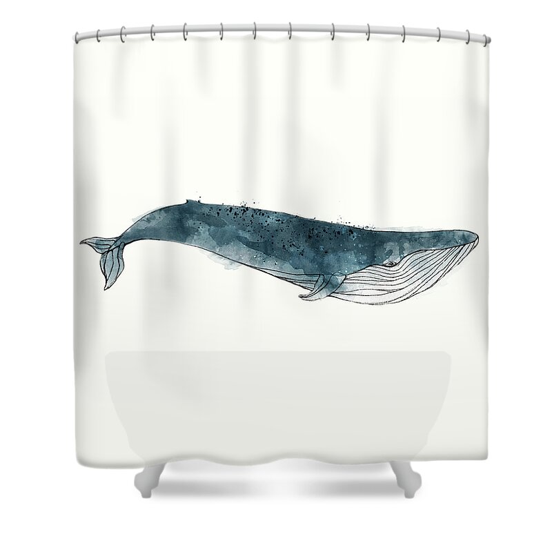 Whale Shower Curtain featuring the painting Blue Whale from Whales Chart by Amy Hamilton