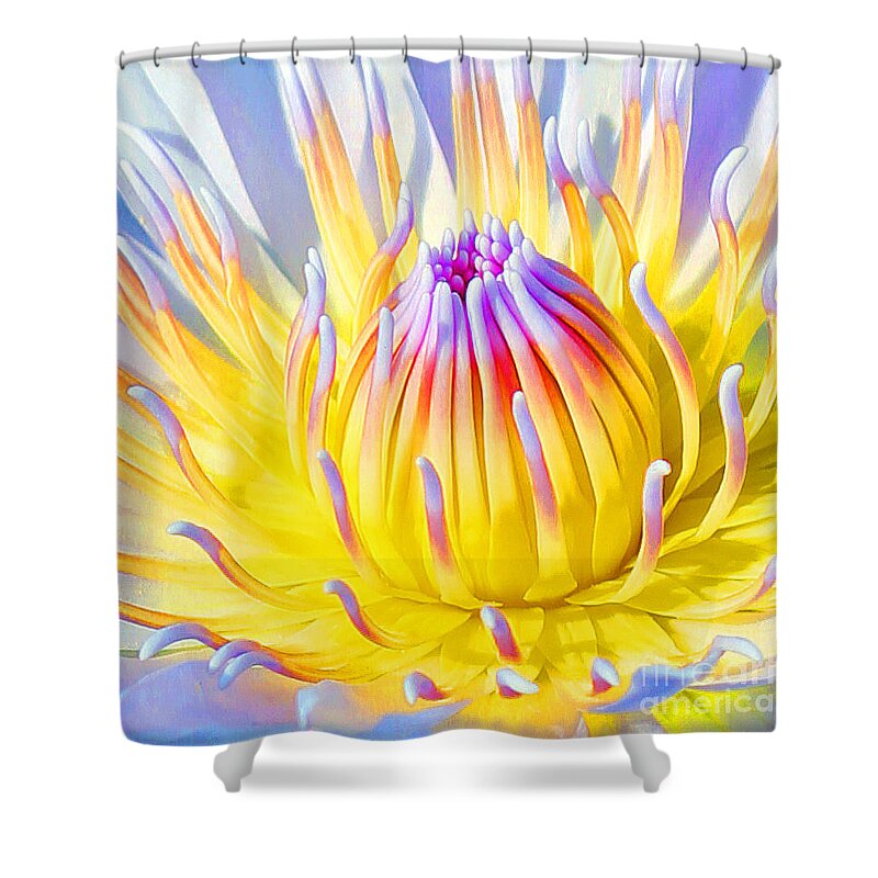  Blue Lotuses Shower Curtain featuring the photograph Blue Yellow Lily by Jennifer Robin