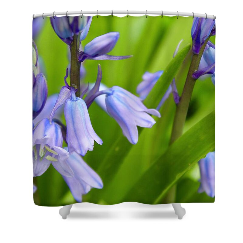 Photography Shower Curtain featuring the photograph Bluebell Beautiful Blooms by M E