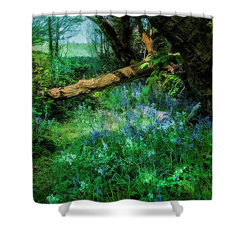 Bluebells Shower Curtain featuring the photograph Bluebell time by Brian Tarr