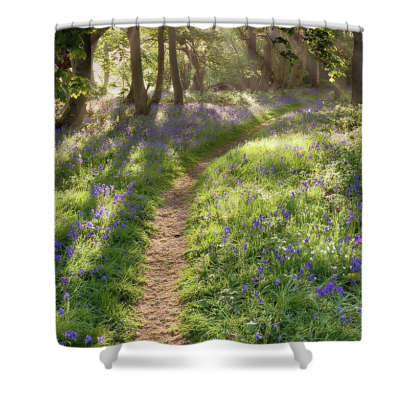 Bluebell Forest Shower Curtain featuring the photograph Bluebell woodland path with dreamy sunrise by Simon Bratt