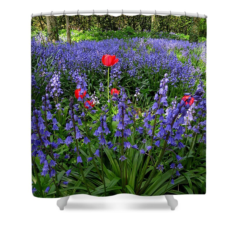 Tulip Shower Curtain featuring the photograph Bluebells and Tulips by John Topman