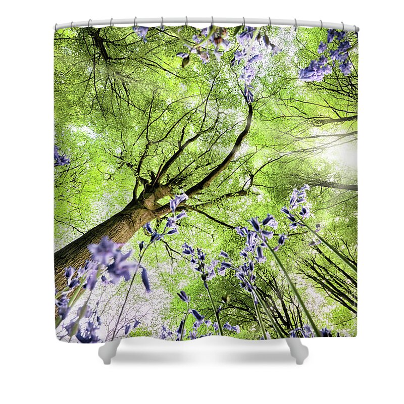 Flowers Shower Curtain featuring the photograph Bluebells from worms eye view by Simon Bratt