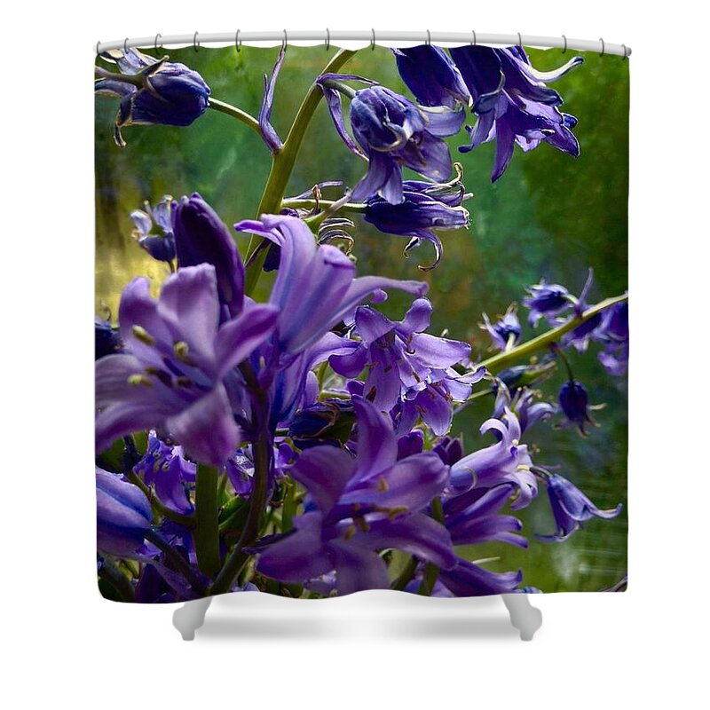 Bluebells Shower Curtain featuring the photograph Bluebells in my Garden Window 2 by Joan-Violet Stretch