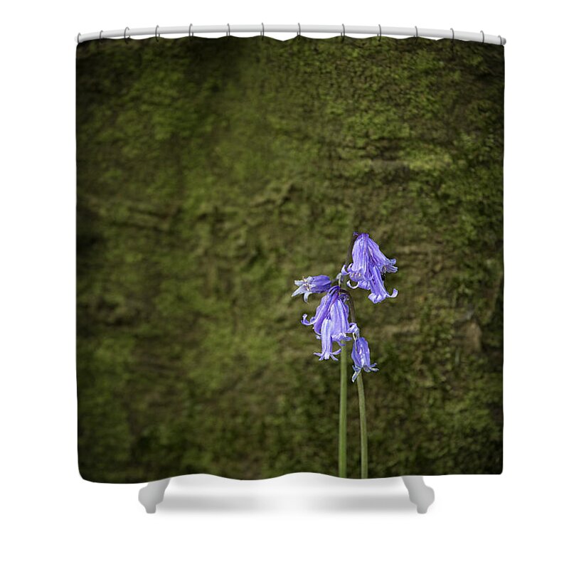 Bluebell Shower Curtain featuring the photograph Bluebells by Nigel R Bell
