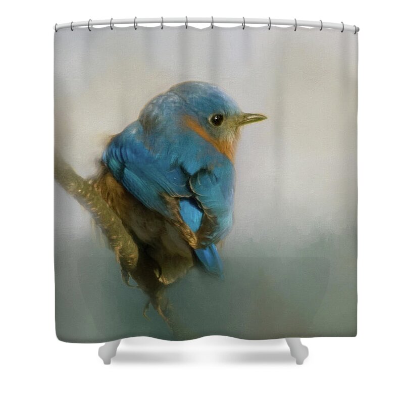 Eastern Shower Curtain featuring the photograph Bluebird by Lana Trussell