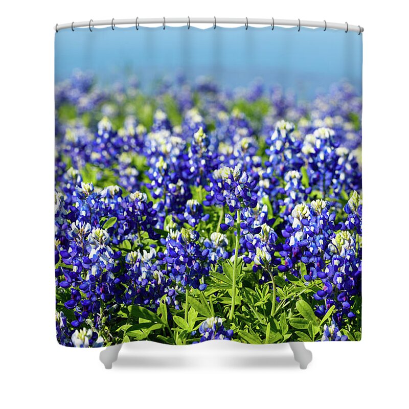Austin Shower Curtain featuring the photograph Bluebonnets by Raul Rodriguez