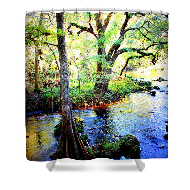 Florida Shower Curtain featuring the photograph Blues in Florida Swamp by Carol Groenen